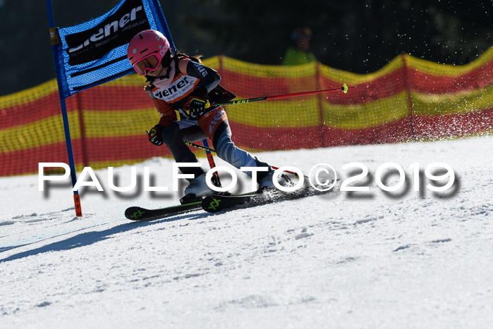 ASV - Kreiscup MM-UA 4 RS 2019