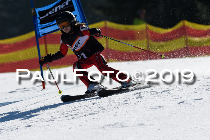 ASV - Kreiscup MM-UA 4 RS 2019