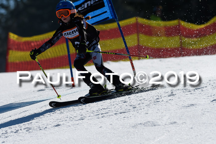 ASV - Kreiscup MM-UA 4 RS 2019