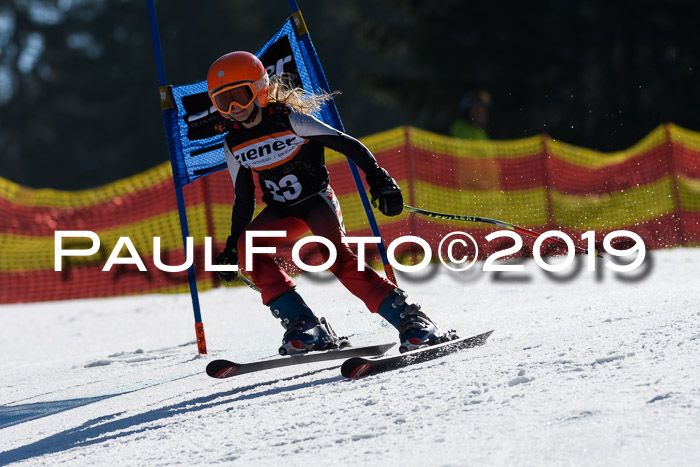 ASV - Kreiscup MM-UA 4 RS 2019