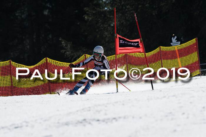ASV - Kreiscup MM-UA 4 RS 2019