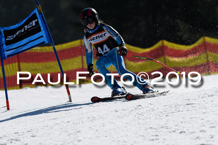 ASV - Kreiscup MM-UA 4 RS 2019
