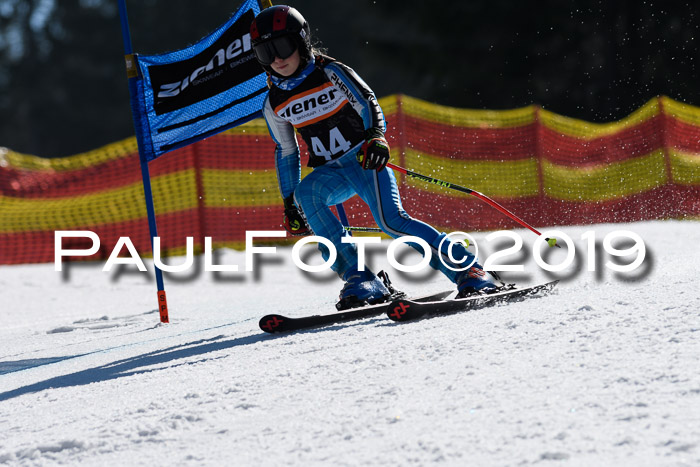 ASV - Kreiscup MM-UA 4 RS 2019