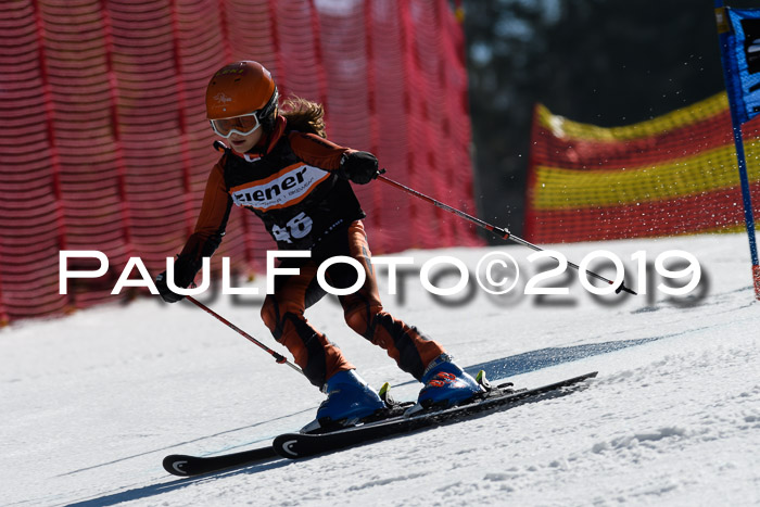 ASV - Kreiscup MM-UA 4 RS 2019