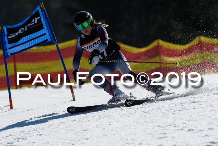 ASV - Kreiscup MM-UA 4 RS 2019