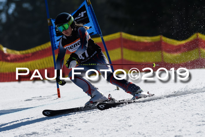 ASV - Kreiscup MM-UA 4 RS 2019