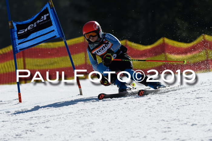 ASV - Kreiscup MM-UA 4 RS 2019