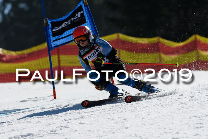 ASV - Kreiscup MM-UA 4 RS 2019