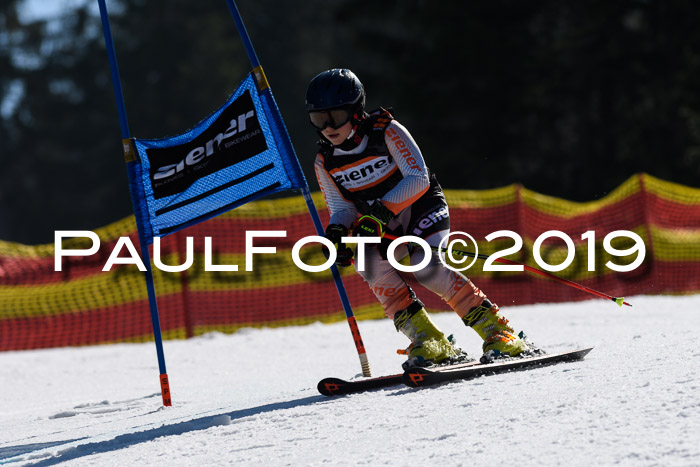 ASV - Kreiscup MM-UA 4 RS 2019