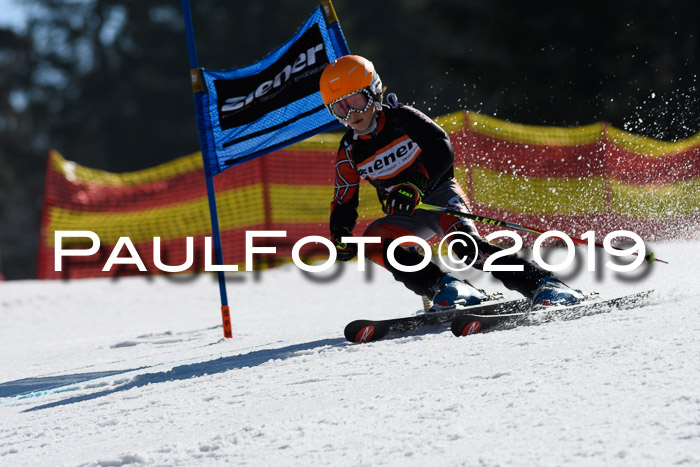 ASV - Kreiscup MM-UA 4 RS 2019