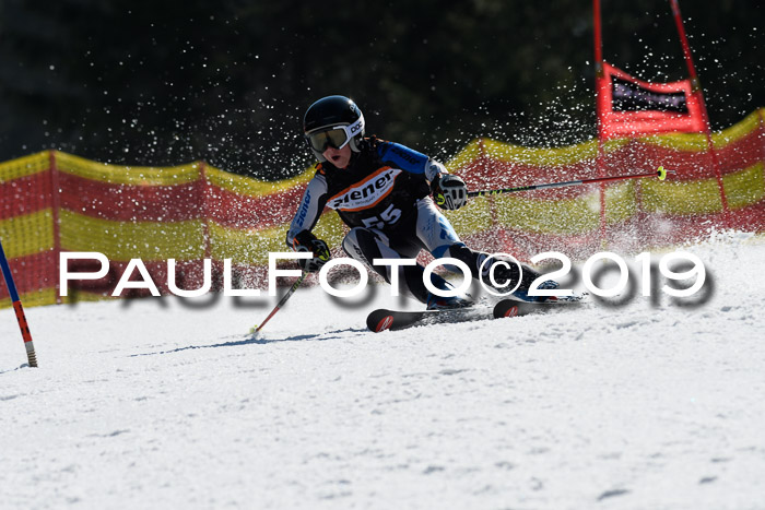 ASV - Kreiscup MM-UA 4 RS 2019