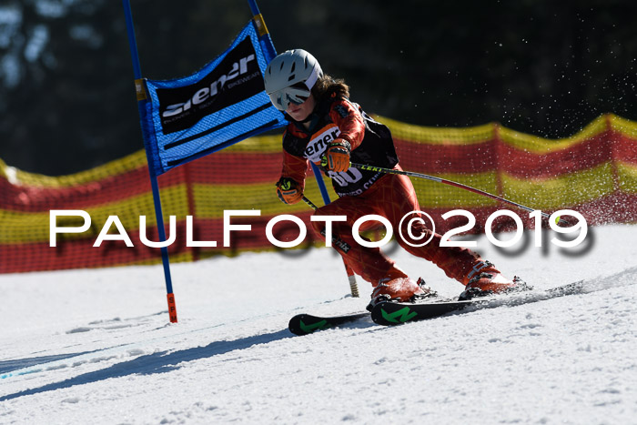 ASV - Kreiscup MM-UA 4 RS 2019
