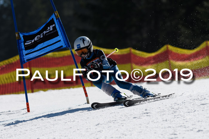 ASV - Kreiscup MM-UA 4 RS 2019