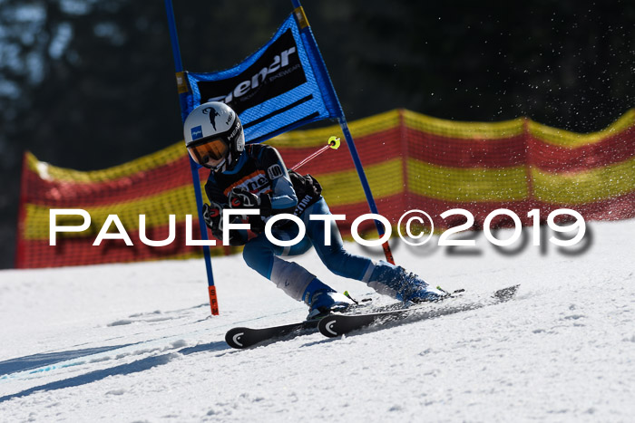 ASV - Kreiscup MM-UA 4 RS 2019