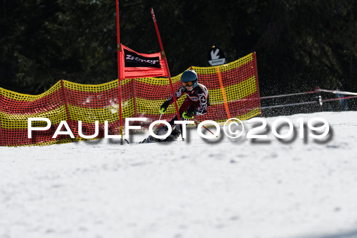 ASV - Kreiscup MM-UA 4 RS 2019