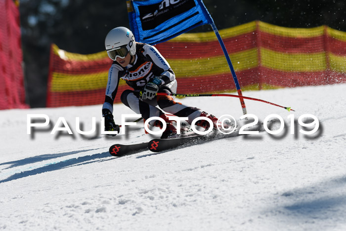 ASV - Kreiscup MM-UA 4 RS 2019