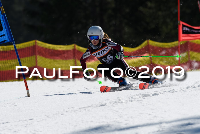 ASV - Kreiscup MM-UA 4 RS 2019