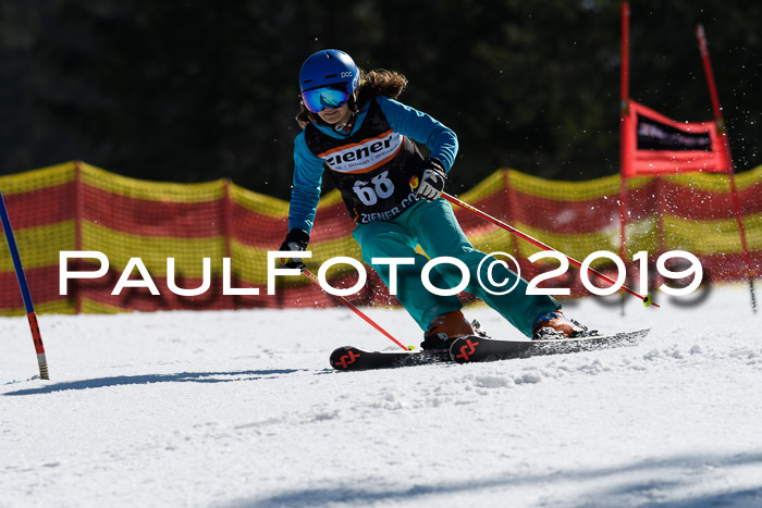 ASV - Kreiscup MM-UA 4 RS 2019