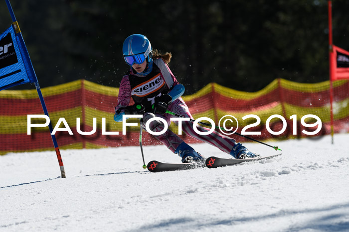 ASV - Kreiscup MM-UA 4 RS 2019
