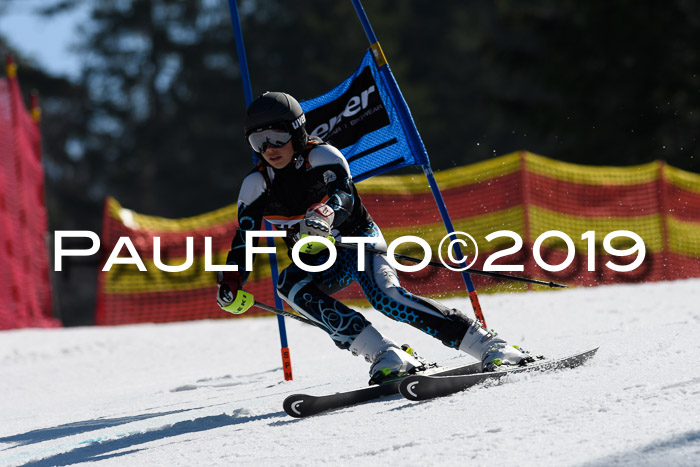 ASV - Kreiscup MM-UA 4 RS 2019