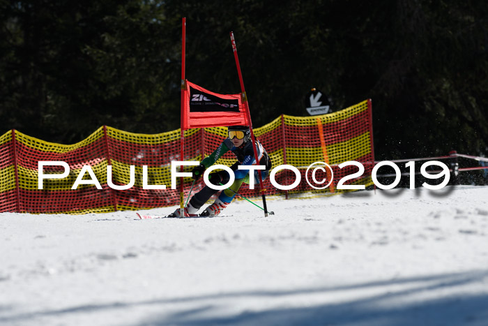 ASV - Kreiscup MM-UA 4 RS 2019