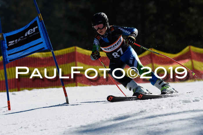 ASV - Kreiscup MM-UA 4 RS 2019