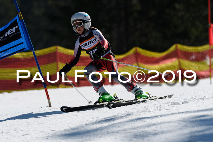 ASV - Kreiscup MM-UA 4 RS 2019