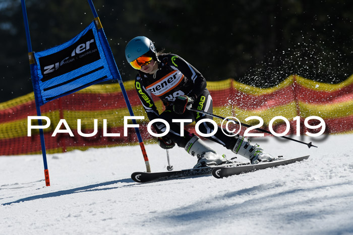 ASV - Kreiscup MM-UA 4 RS 2019