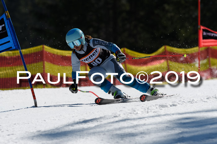 ASV - Kreiscup MM-UA 4 RS 2019