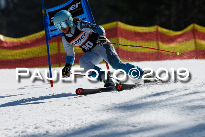 ASV - Kreiscup MM-UA 4 RS 2019