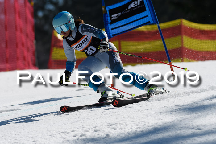 ASV - Kreiscup MM-UA 4 RS 2019