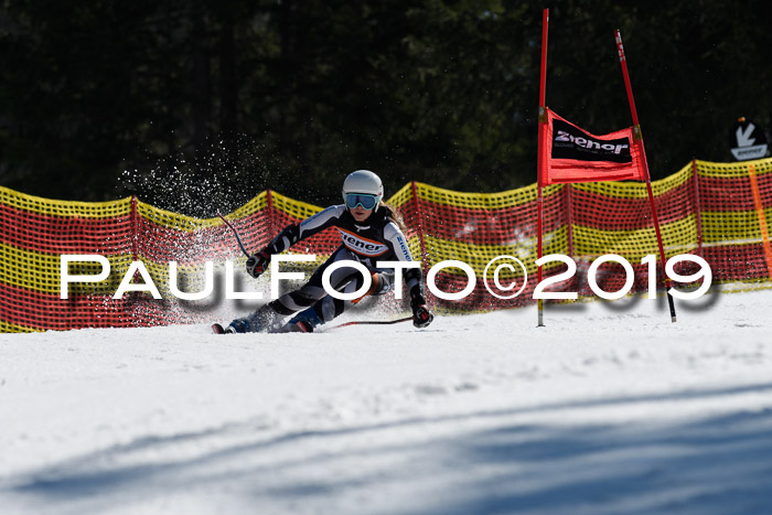 ASV - Kreiscup MM-UA 4 RS 2019