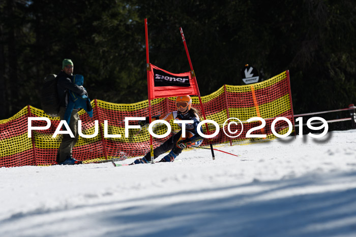 ASV - Kreiscup MM-UA 4 RS 2019