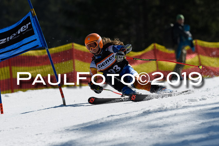 ASV - Kreiscup MM-UA 4 RS 2019