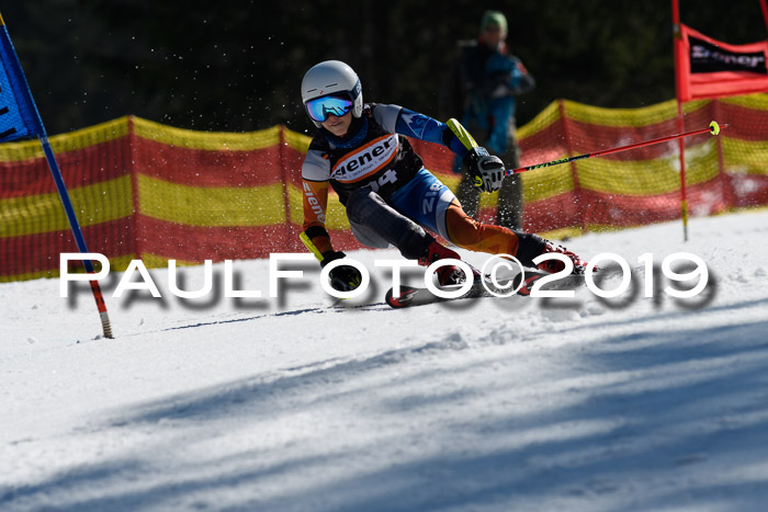 ASV - Kreiscup MM-UA 4 RS 2019