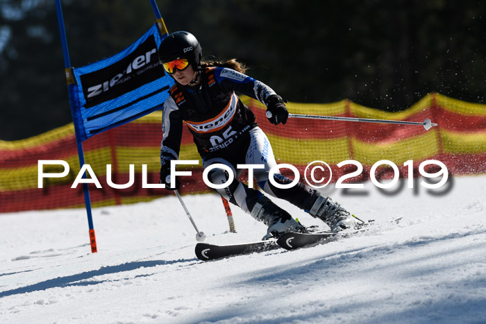 ASV - Kreiscup MM-UA 4 RS 2019