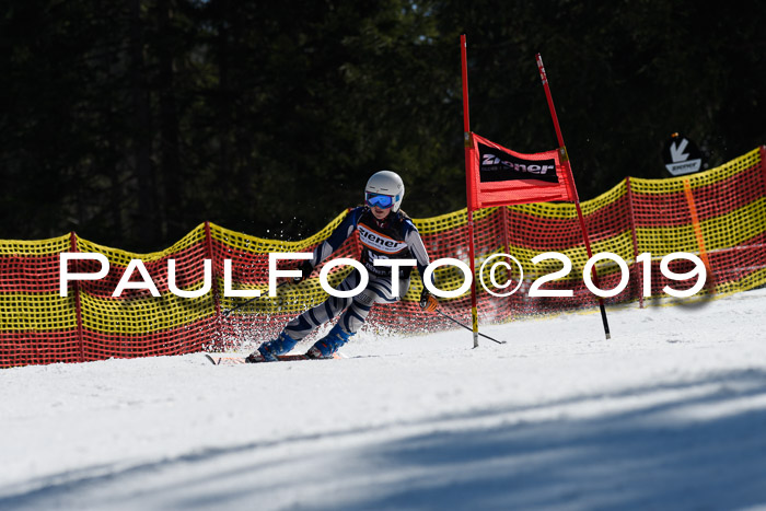 ASV - Kreiscup MM-UA 4 RS 2019