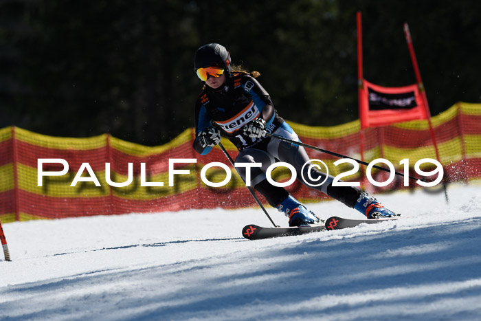 ASV - Kreiscup MM-UA 4 RS 2019