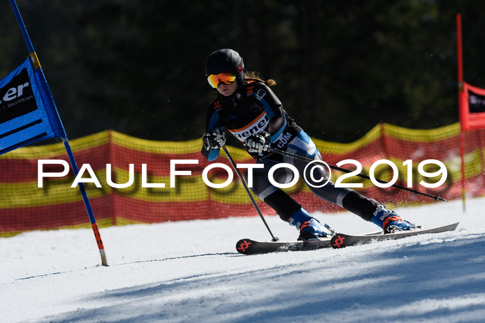 ASV - Kreiscup MM-UA 4 RS 2019