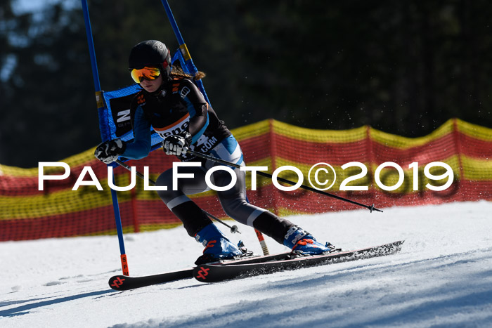 ASV - Kreiscup MM-UA 4 RS 2019