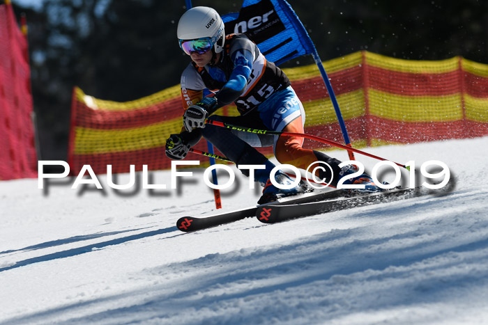 ASV - Kreiscup MM-UA 4 RS 2019