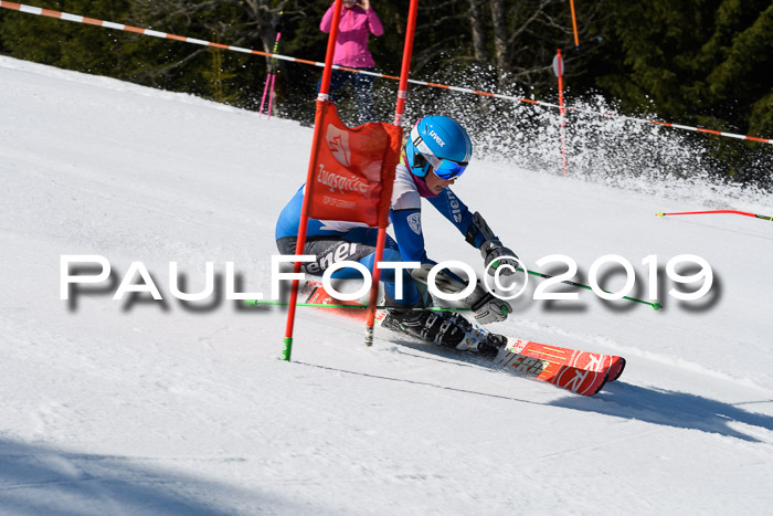 BZB Cup Finale, Quali + Parallelslalom, 31.03.2019