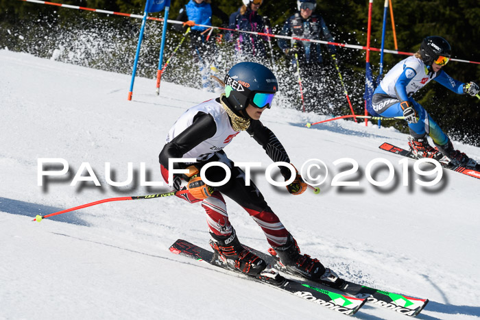 BZB Cup Finale, Quali + Parallelslalom, 31.03.2019