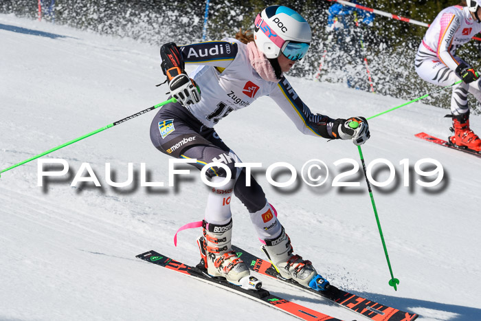 BZB Cup Finale, Quali + Parallelslalom, 31.03.2019
