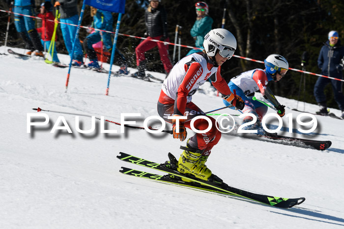 BZB Cup Finale, Quali + Parallelslalom, 31.03.2019
