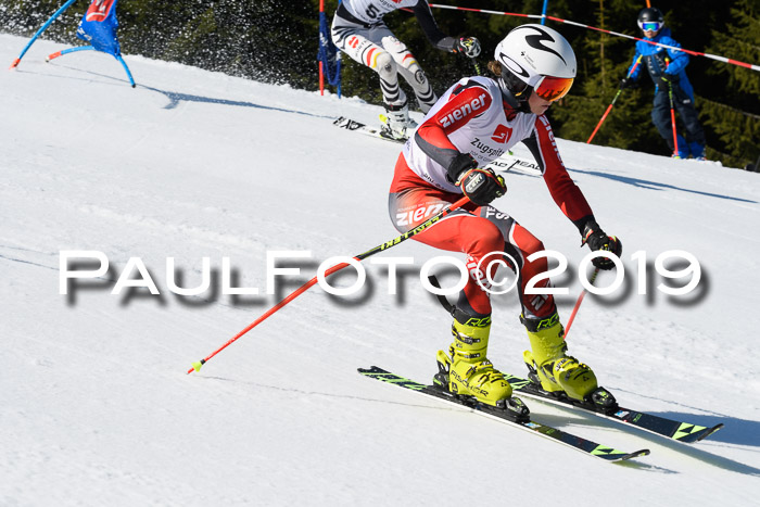 BZB Cup Finale, Quali + Parallelslalom, 31.03.2019