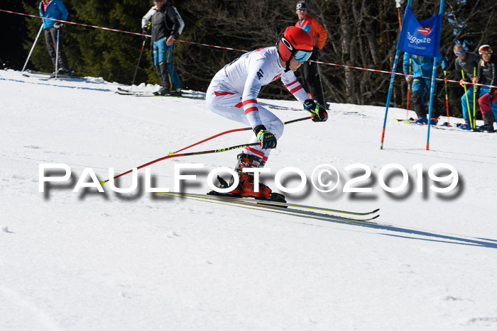 BZB Cup Finale, Quali + Parallelslalom, 31.03.2019