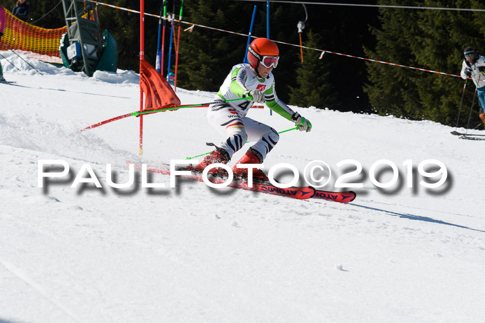 BZB Cup Finale, Quali + Parallelslalom, 31.03.2019