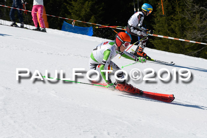BZB Cup Finale, Quali + Parallelslalom, 31.03.2019