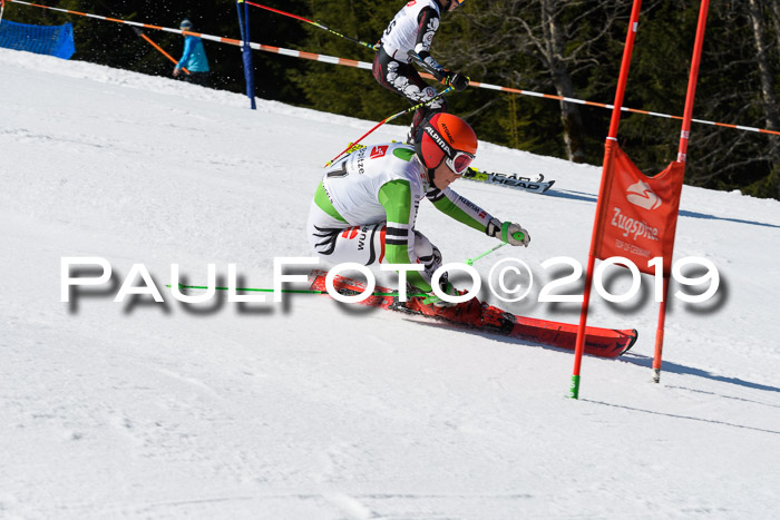 BZB Cup Finale, Quali + Parallelslalom, 31.03.2019